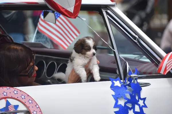 Parade photo